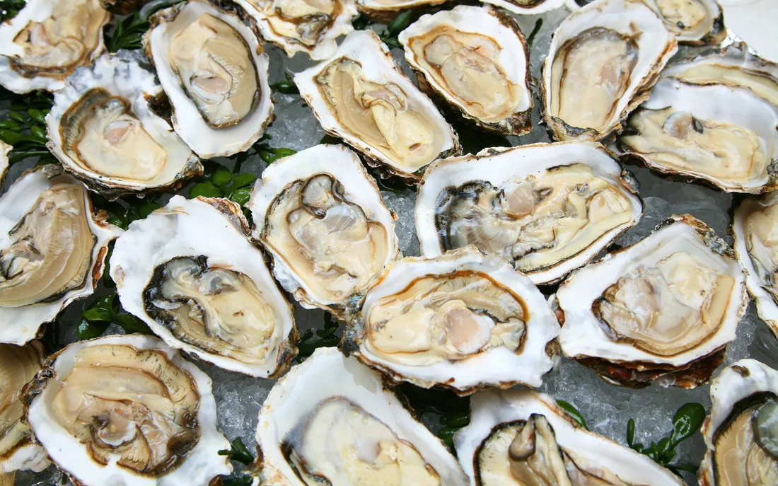 Lessons advertisers can learn from oyster season